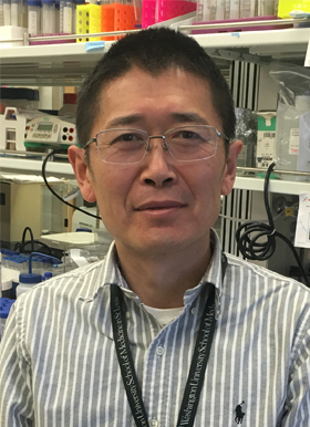 Wei Zou, MD, PhD