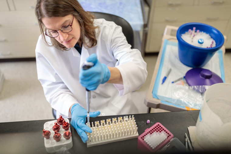 Link between autoimmune, heart disease explained in mice