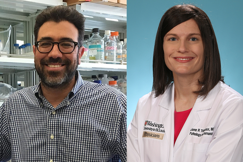 Kodi Ravichandran, BVSc, PhD