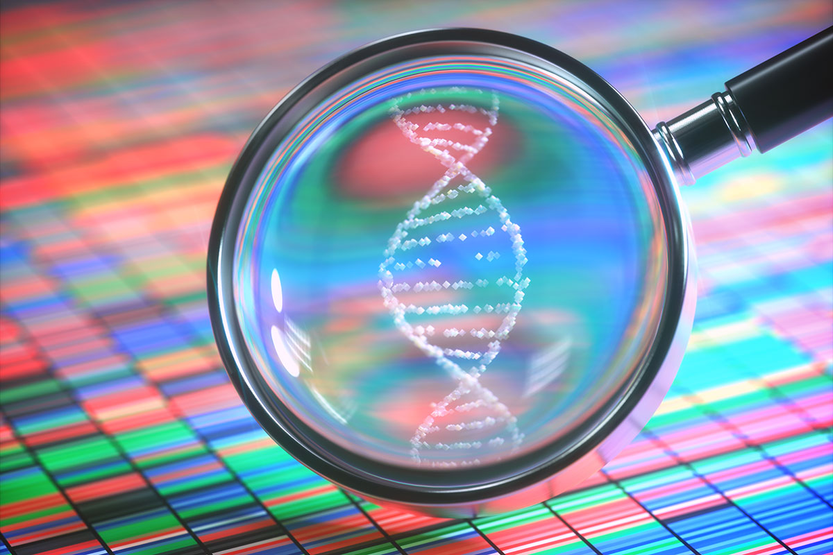 Anthony W. Orvedahl, MD, PhD