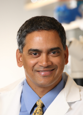 Kodi Ravichandran, BVSc, PhD