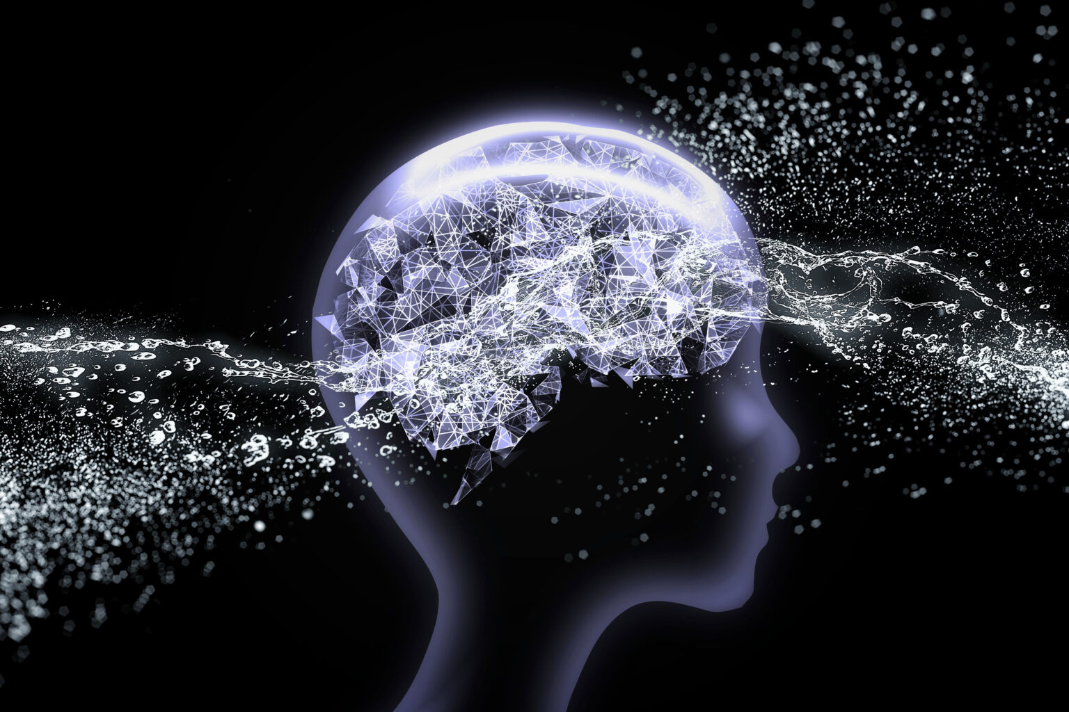 Erika C. Crouch, MD, PhD