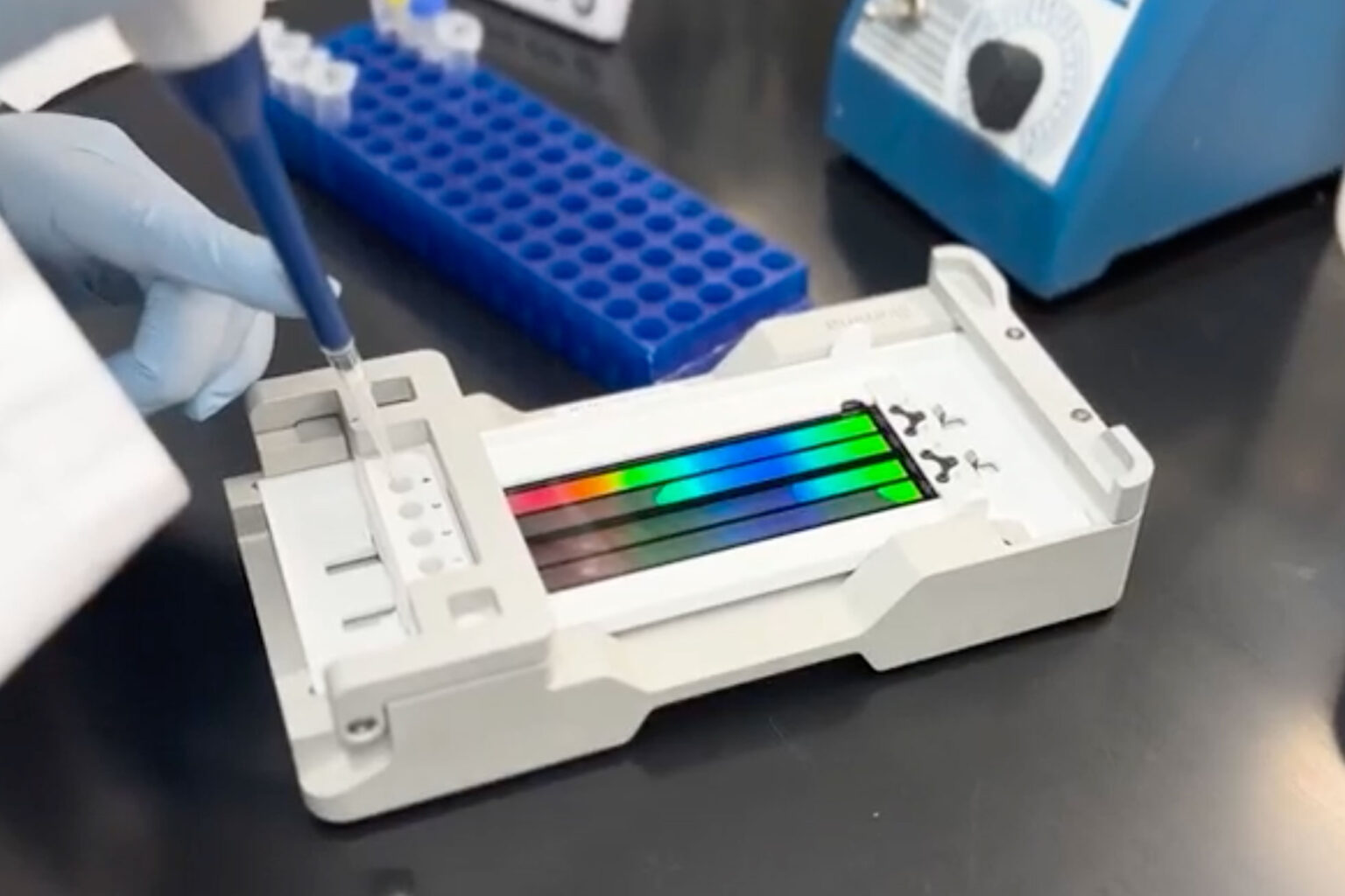 Christopher A. Nelson, PhD