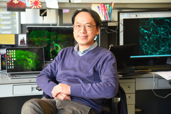 Huang named head of pathology & immunology