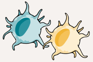 mRNA vaccines follow unconventional immune path to destroy tumors
