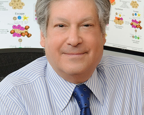 Schreiber honored for cancer immunotherapy research
