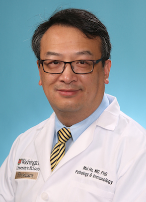 Dr. Mai He named editor-in-chief of Fetal and Pediatric Pathology journal